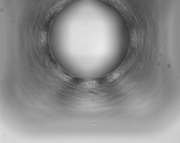 X0000060240278200511111937