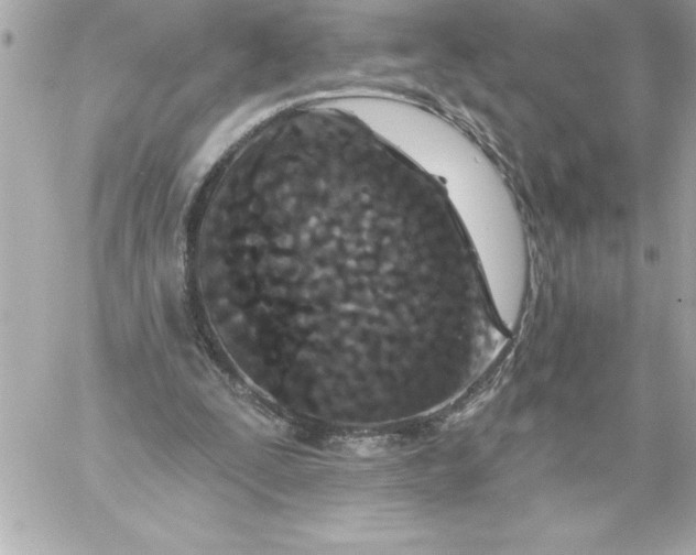 X0000060240295200511111936