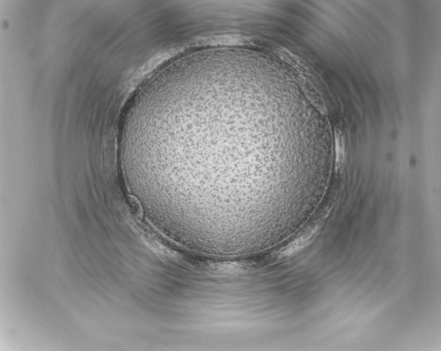 X0000060240301200511111936