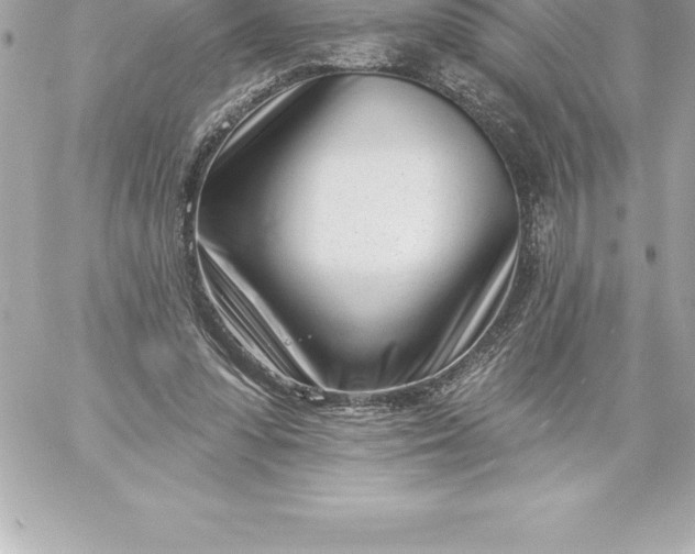 X0000060240303200511111936