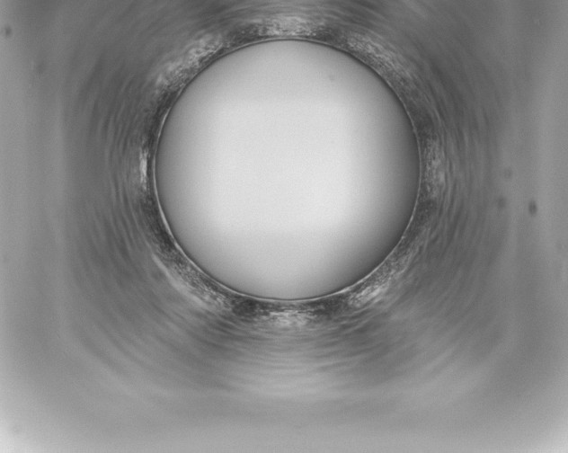 X0000060240310200511111936