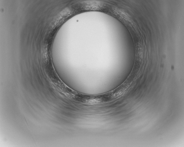 X0000060240312200511111936