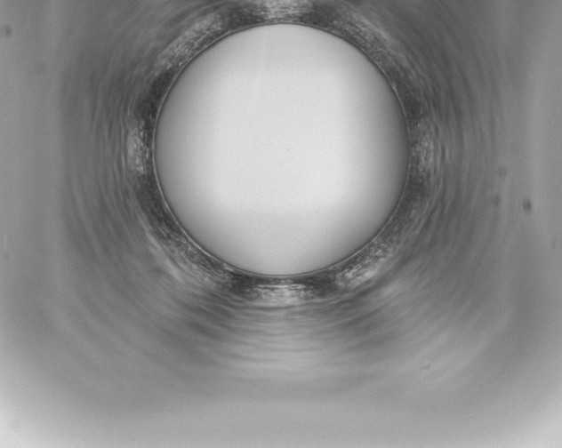 X0000060240316200511111936