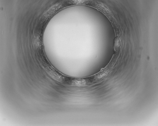 X0000060240317200511111936