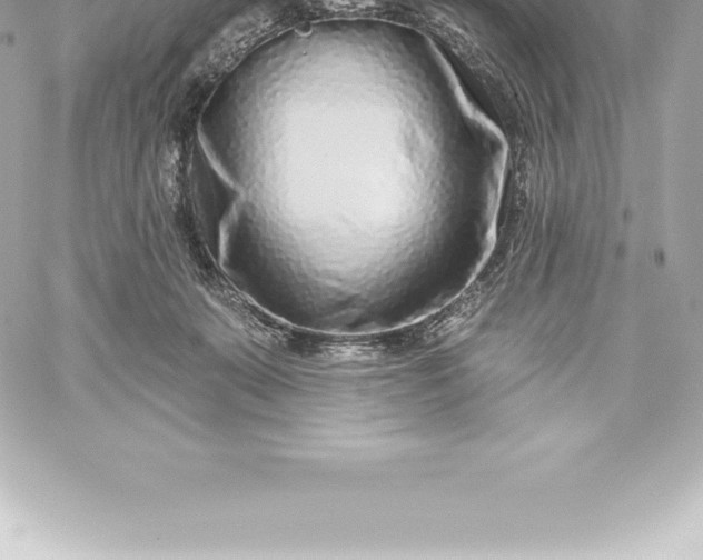 X0000060240319200511111936