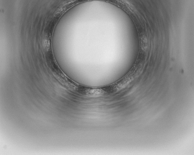 X0000060240324200511111936