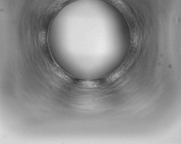 X0000060240326200511111936
