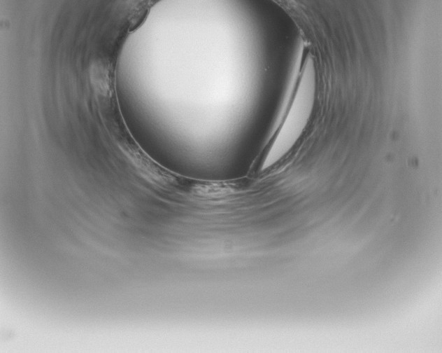 X0000060240331200511111936