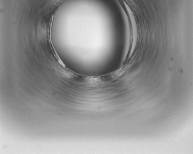 X0000060240333200511111936