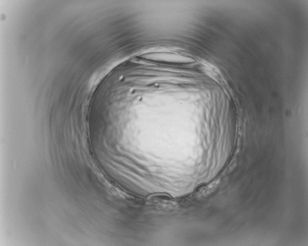 X0000060240337200511111935