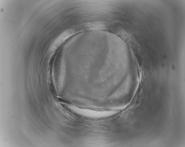 X0000060240339200511111935