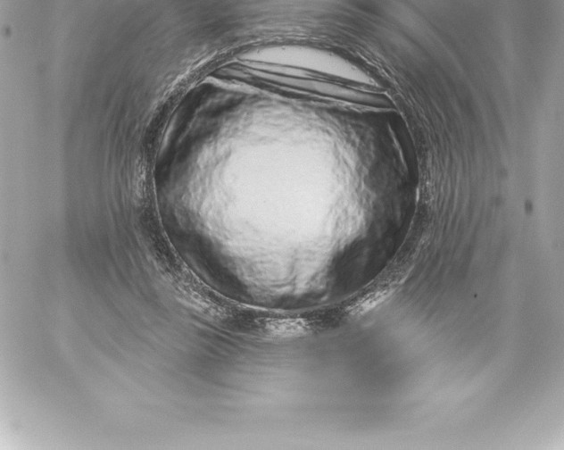 X0000060240355200511111935