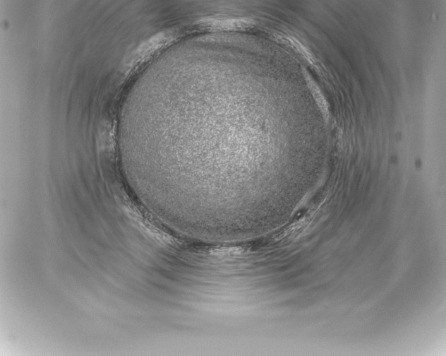 X0000060240357200511111935