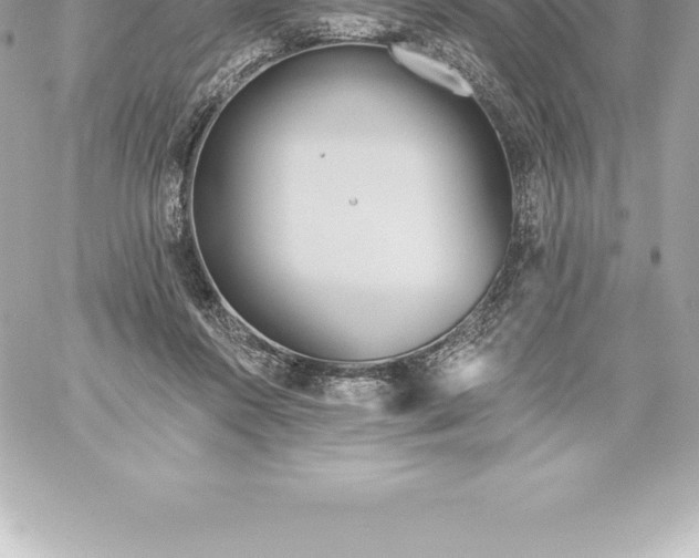 X0000060240360200511111935