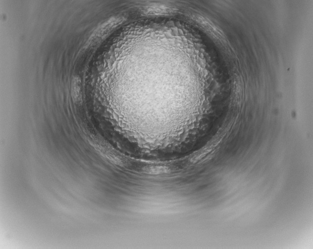 X0000060240361200511111935