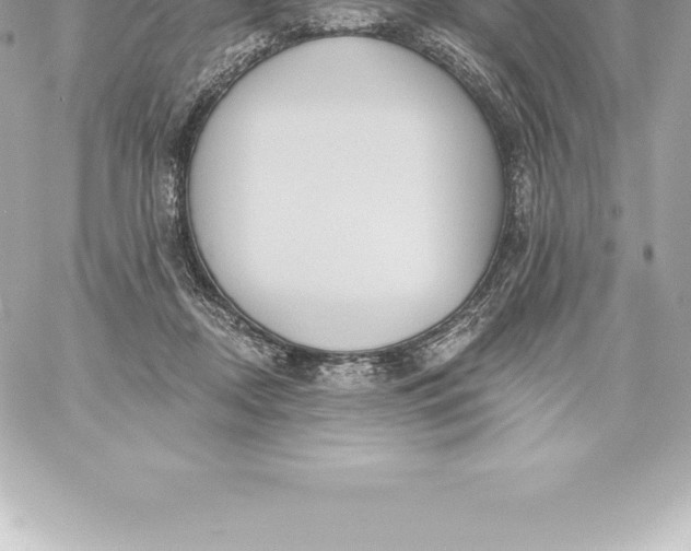 X0000060240362200511111935