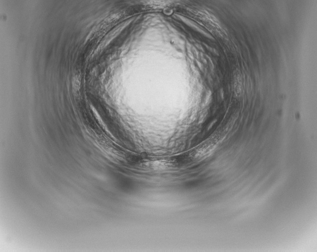 X0000060240365200511111935