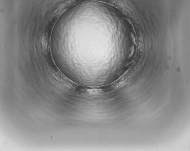 X0000060240371200511111935