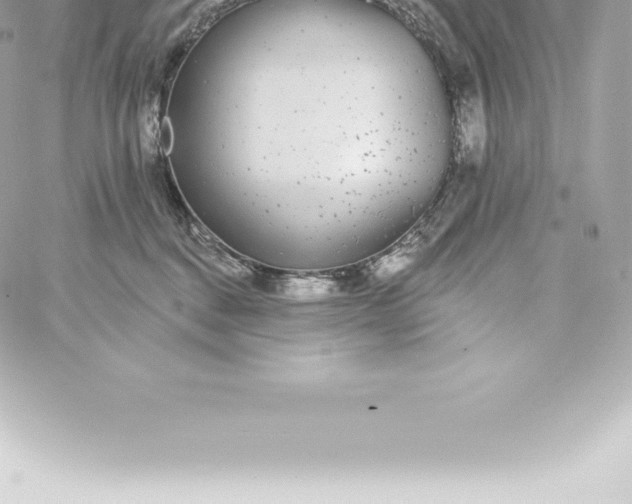 X0000060240376200511111935