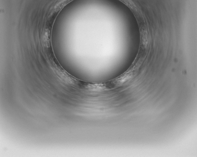 X0000060240378200511111936