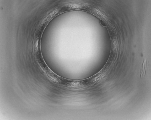 X0000060240406200511111934