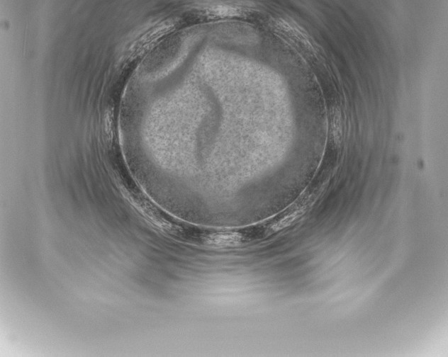 X0000060240410200511111934