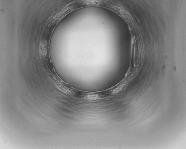 X0000060240413200511111934