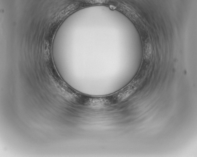 X0000060240414200511111934