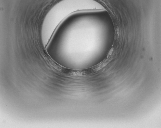X0000060240423200511111934