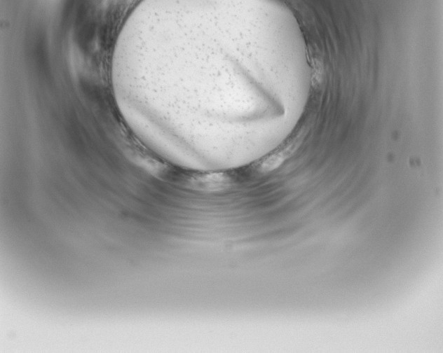 X0000060240431200511111934
