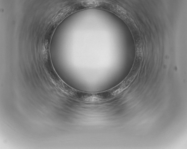 X0000060240460200511111934