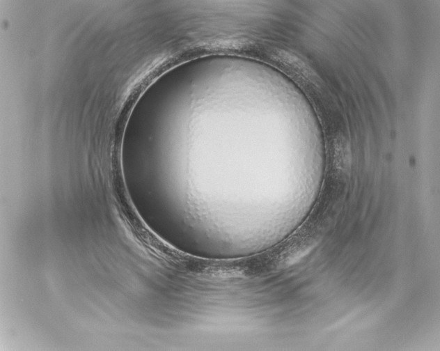 X0000060240491200511111933