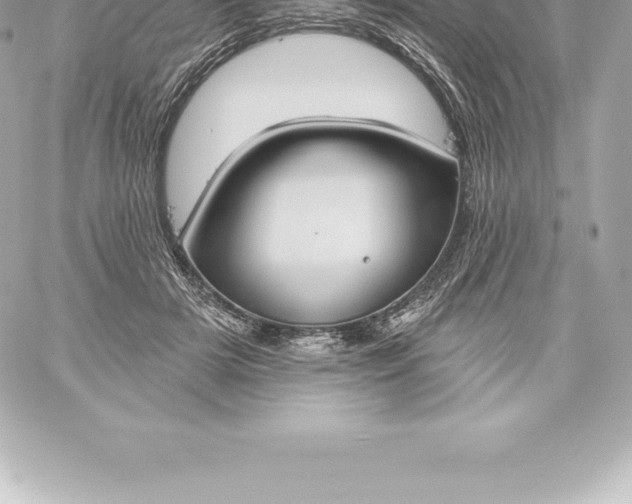 X0000060240505200511111933