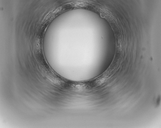 X0000060240506200511111933