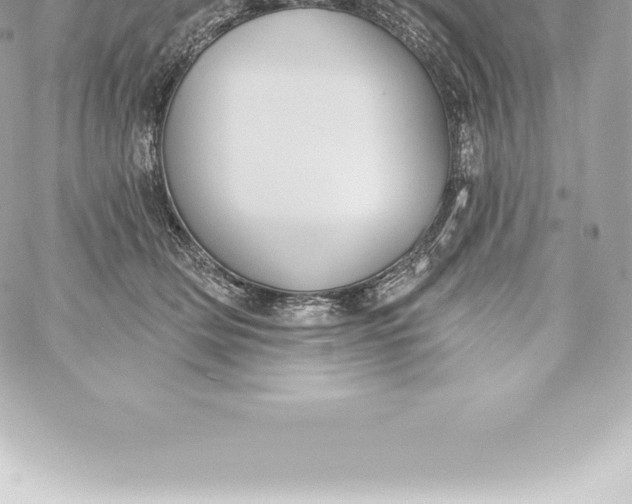 X0000060240514200511111933