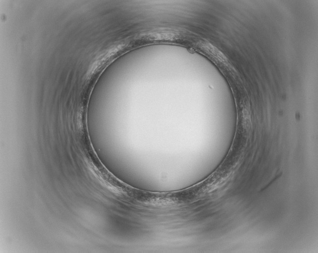 X0000060240537200511111932