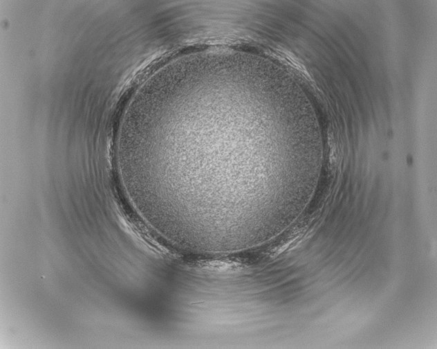 X0000060240542200511111932