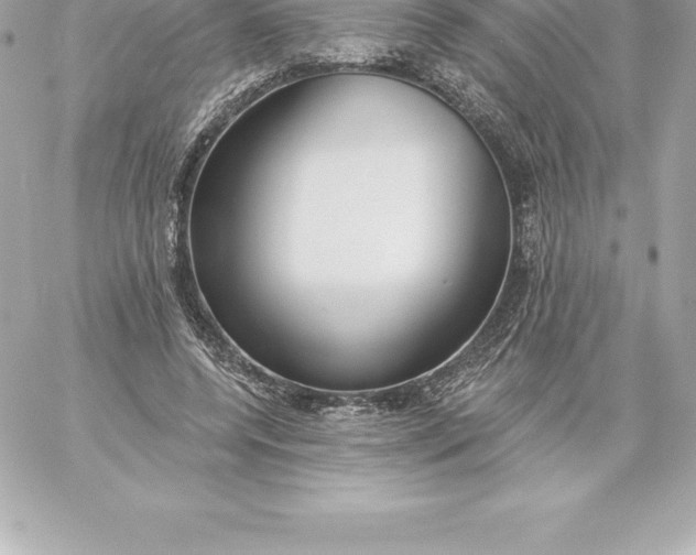 X0000060240544200511111932