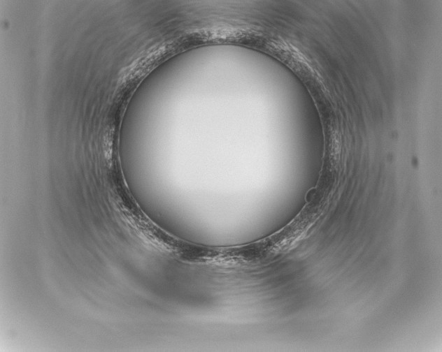 X0000060240545200511111932