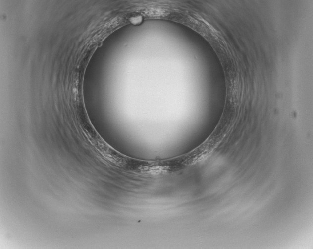 X0000060240553200511111932