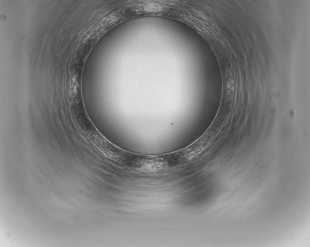 X0000060240555200511111932