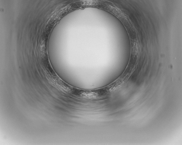 X0000060240557200511111932