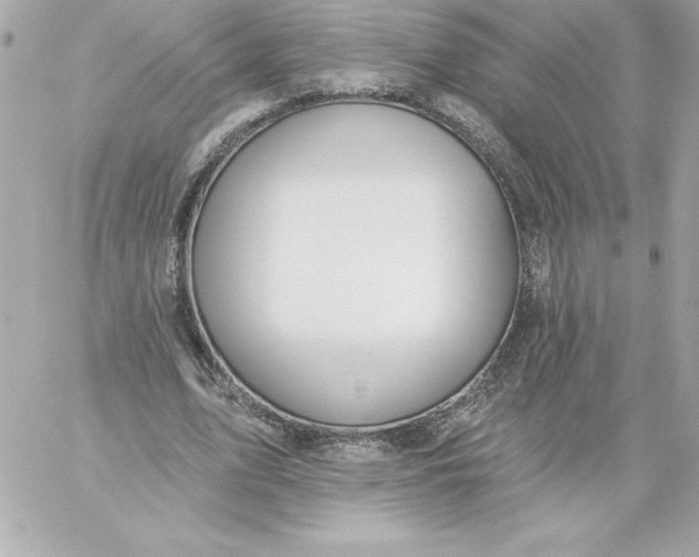 X0000060240583200511111931