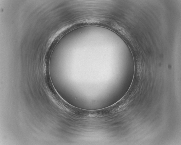 X0000060240584200511111931