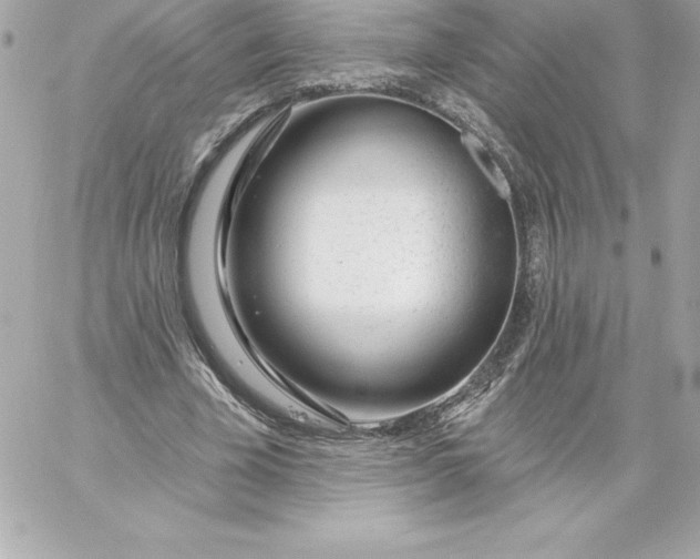 X0000060240585200511111931