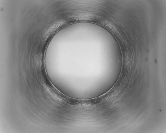 X0000060240586200511111931