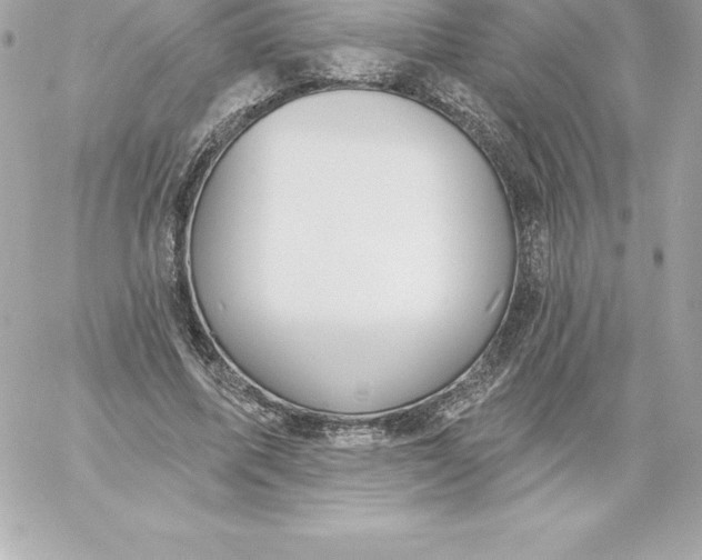X0000060240587200511111931