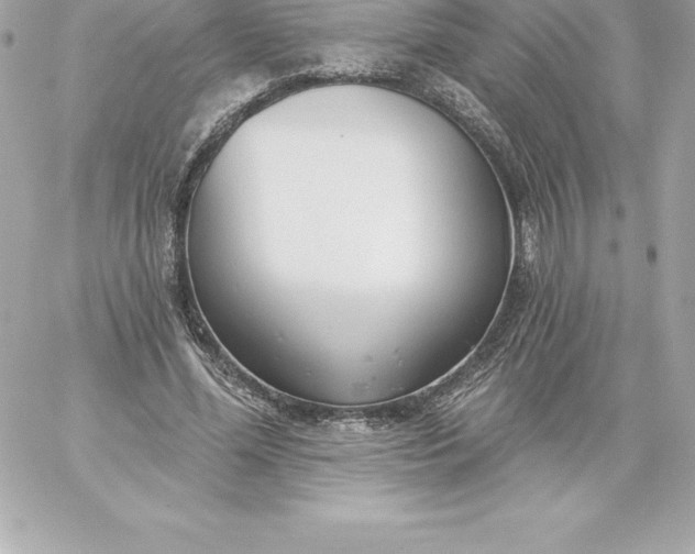 X0000060240588200511111931