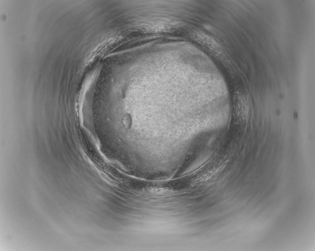 X0000060240590200511111931