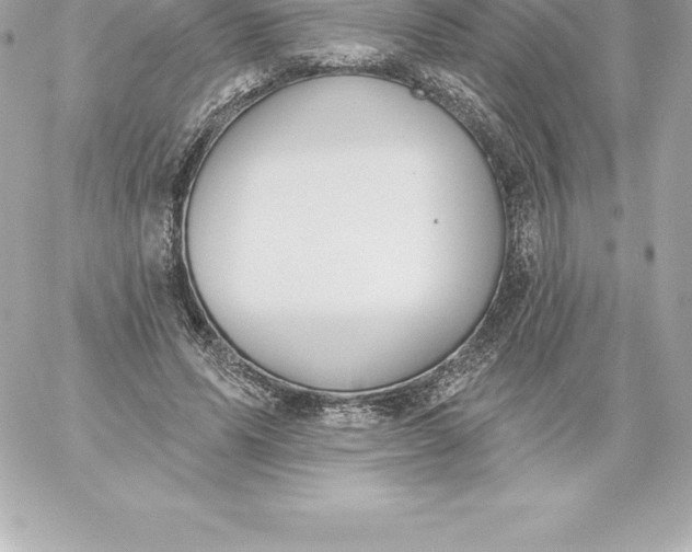 X0000060240591200511111931